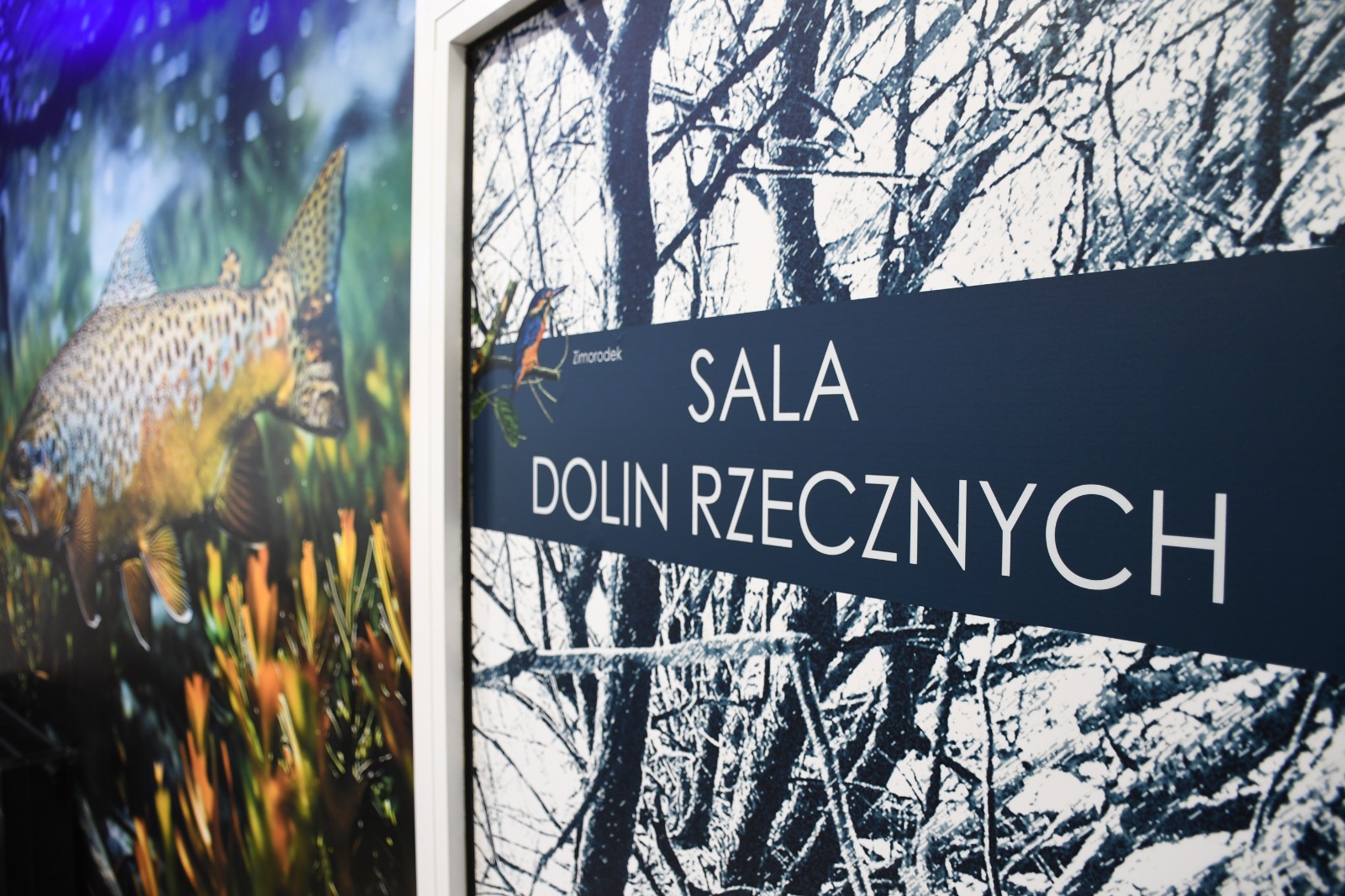 Sala Dolin Rzecznych